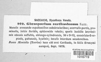 Image Associated With the Occurence
